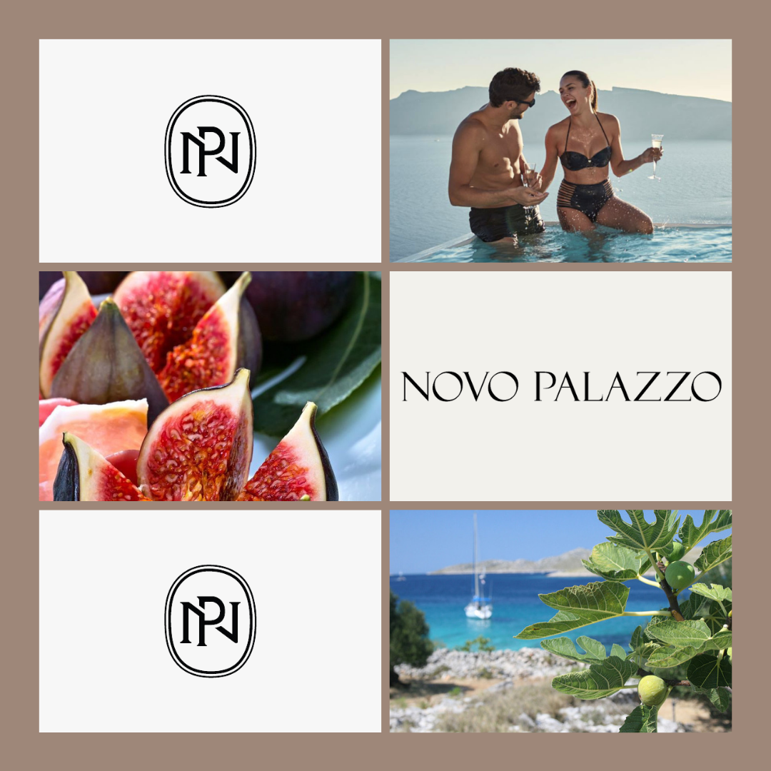 Mediterranean Fig Scented Spa Candle 18oz