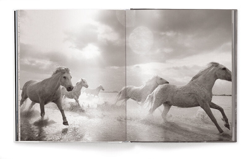 Horses by Derry Moore – Hardcover Photography Book